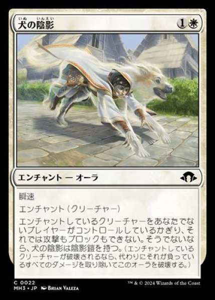 画像1: 『FOIL』犬の陰影 (1)