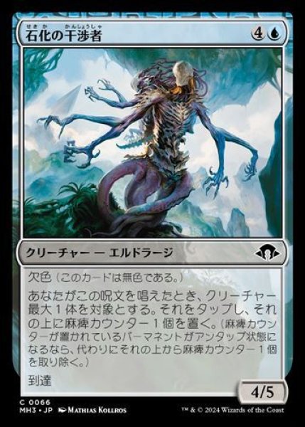 画像1: 『FOIL』石化の干渉者 (1)