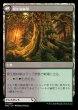 画像2: 『FOIL』力漲る腹拵え (2)