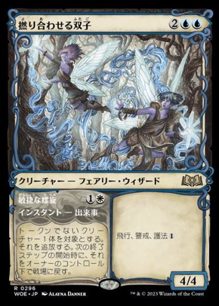 画像1: 『FOIL』撚り合わせる双子【ショーケース】 (1)